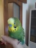 20170213_125729.jpg
