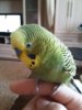 20170213_130118.jpg