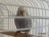 DSC01221.JPG