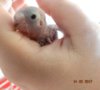 DSC01216.JPG
