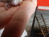 DSC01218.JPG