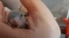 DSC01217.JPG