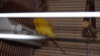DSCF2914.JPG