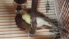 DSCF2919.JPG