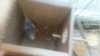 20170217_073838.jpg