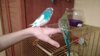 WhatsApp Image 2017-02-18 at 20.44.10.jpeg