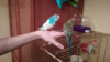 upload_2017-2-19_14-45-2.png