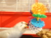 DSC01238.JPG