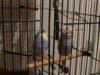 DSC01268.JPG