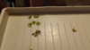 DSCF3006.JPG