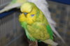 IMG_8899.JPG