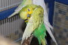 IMG_8875.JPG