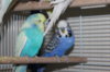 IMG_8881.JPG