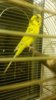 20170219_211427.jpg