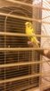 20170219_211221.jpg