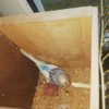IMG-20170221-WA0000.jpg