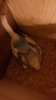 20170220_221818.jpg