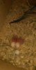 IMG-20170221-WA0069.jpeg