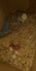 IMG-20170221-WA0071.jpeg