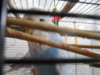 DSCN9818.JPG
