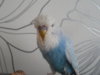 DSCN9810.JPG