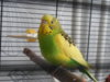 DSCN9781.JPG
