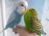 DSCN9593.JPG