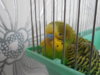 DSCN9287.JPG
