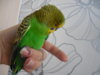 DSCN9563.JPG