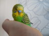DSCN9581.JPG