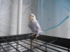 DSCN9461.JPG
