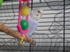DSCN9743.JPG
