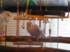 DSCN9758.JPG