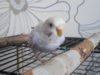 DSCN9763.JPG