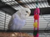 DSCN9780.JPG