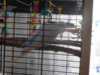 DSCN9833.JPG