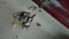 P_20170222_124901_vHDR_Auto_1.jpg