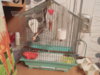 DSCN9834.JPG