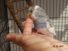 DSC01286.JPG