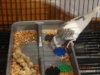 DSC01306.JPG