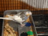 DSC01307.JPG