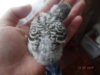 DSC01275.JPG