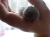 DSC01276.JPG