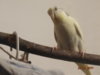 DSC01322.JPG