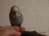 DSC01325.JPG