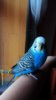 IMG_20170223_095241_097.jpg