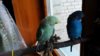 IMG_20170223_095356_669.jpg