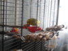 DSCN9841.JPG