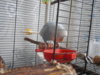DSCN9840.JPG