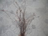 DSCN9845.JPG